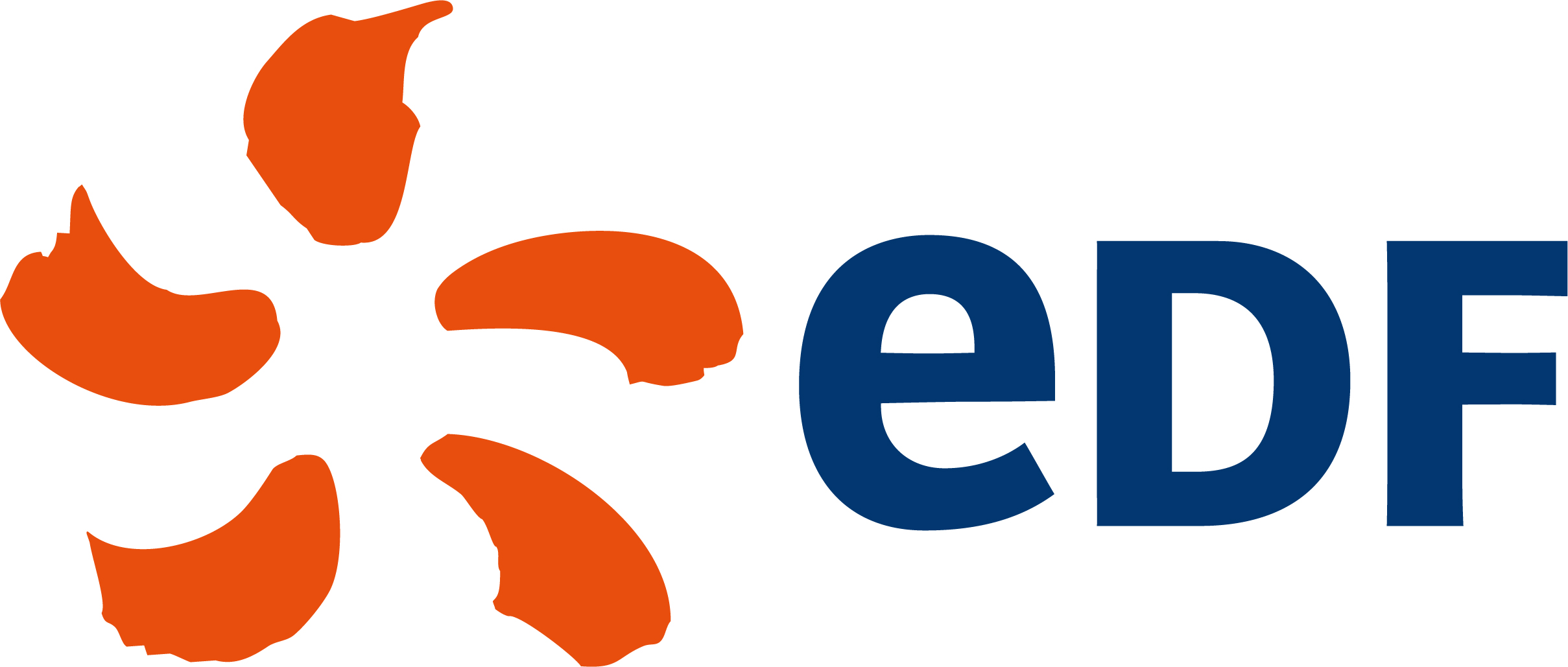 Logo 2011 EDF 01
